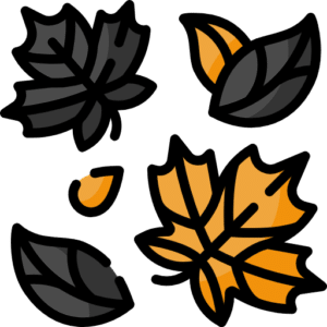 Icon feuilles de saisons